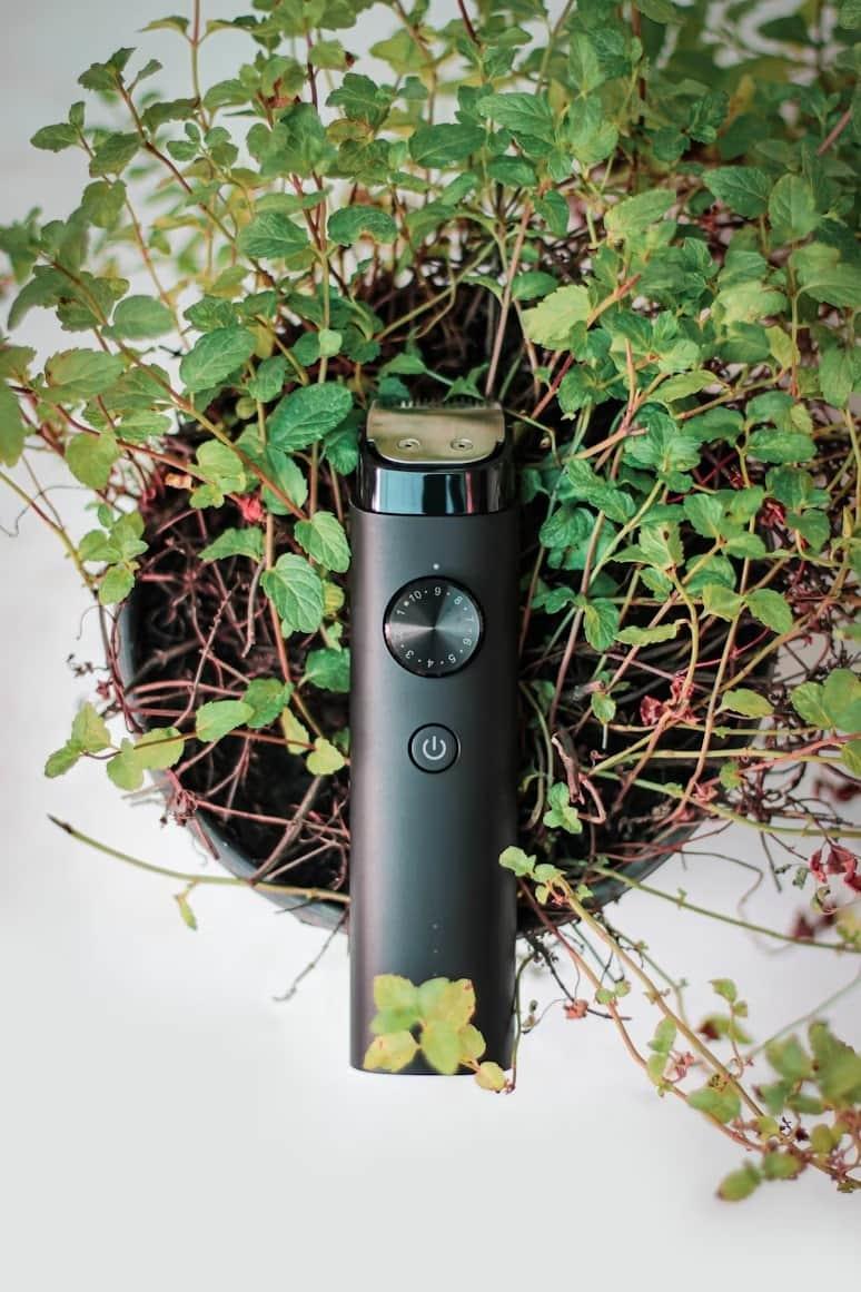 yaban mersini tadı rehberi ve en güncel bahis tavsiyeleri ile nhà cái uy tín nhất karşılaştırması