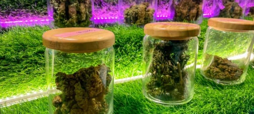 e-dym ile luxe s vaporesso deneyimini keşfedin e-dym avantajları ve luxe s vaporesso ile mükemmel buhar